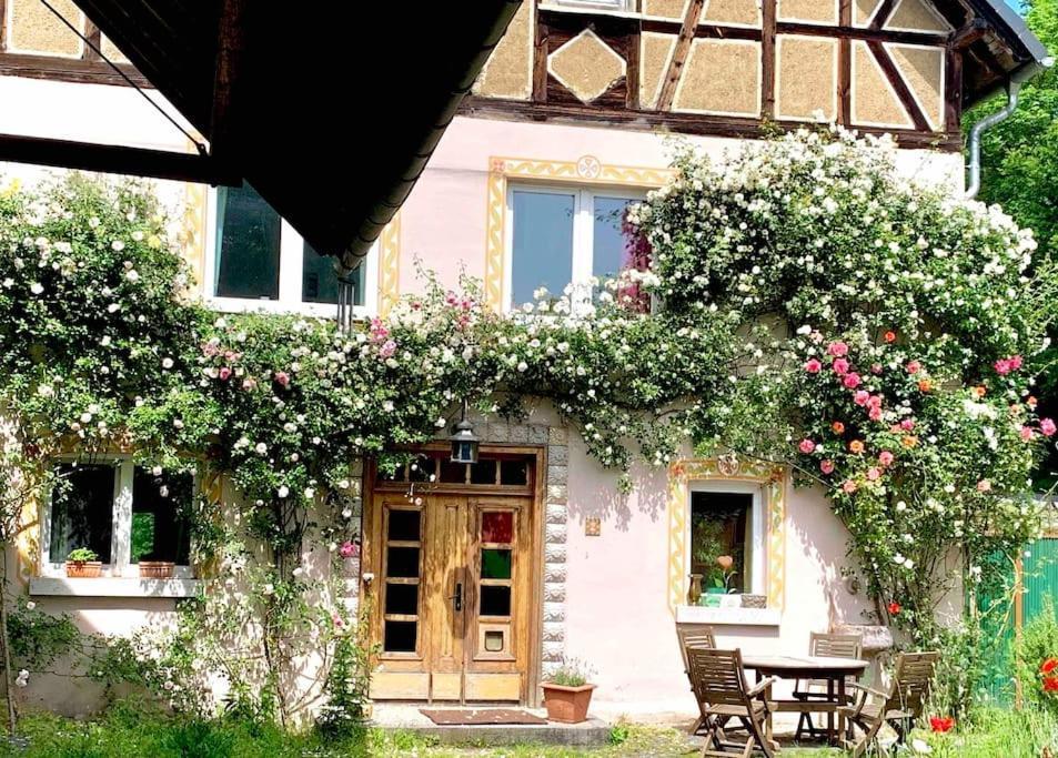 Kleine Kunstremise Mit Holzofen Burg Freienfels Apartment Weinbach ภายนอก รูปภาพ